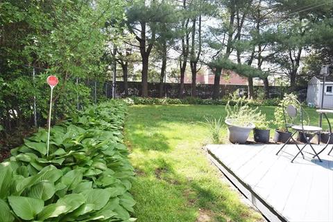 Yard