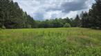 Discover this beautiful 2.5-acre parcel nestled in the heart of the Sullivan County Catskills. Lined with towering pine trees on either side, this mostly cleared lot offers the perfect setting to build your dream home or getaway retreat. Ideally located just minutes from the Bethel Woods Performing Arts Center, Kartrite Indoor Water Park, and Resorts World Catskills Casino, youâ€™ll have entertainment and dining options at your fingertips. Enjoy summer days on nearby motorboat lakes such as White Lake, along with the many serene lakes surrounding the area. Privately set yet close to all conveniences, this property combines peaceful country living with easy access to everything you need.