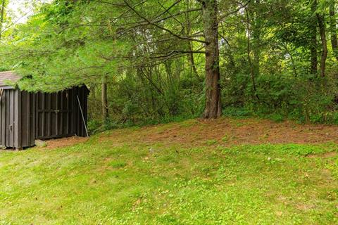 Yard
