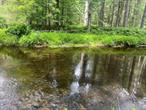 16+ Acres on a Scenic Brook â€” Prime for Your VisionOpportunity awaits on this stunning 16.23-acre parcel featuring long road frontage and a peaceful brook winding through the property. Whether youâ€™re looking to build your dream getaway, create a private family compound, or invest in land with long-term potential, this is the canvas youâ€™ve been waiting for.Perfectly situated just minutes from the Delaware River and only two hours from New York City, this location offers the best of both worldsâ€”serenity and convenience. Surrounded by the charm of local antique shops, farmers markets, renowned restaurants, and cultural attractions like Bethel Woods Center for the Arts, itâ€™s a vibrant area ideal for a vacation home or a smart addition to your investment portfolio.