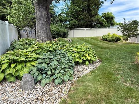 Yard