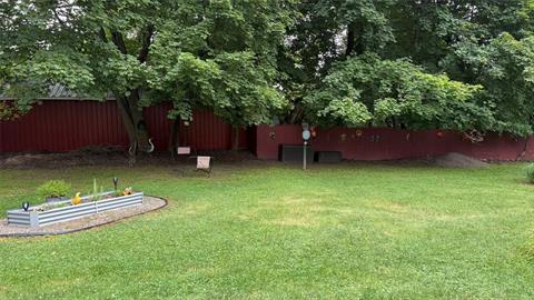Yard
