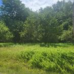 2-Acre Parcel in Bethel, NY â€“ Partially Cleared Land with AG-R ZoningTucked away on a country road in the scenic town of Bethel, NY, this 2-acre parcel offers an escape with endless potential. The land is partially cleared, allowing for an easy start to your visionâ€”whether thatâ€™s building a custom home or creating a weekend getawayZoned Agricultural-Residential (AG-R), the property allows for a wide variety of uses. You can build a single-family or modular home, raise small livestock, start a garden, or construct accessory buildings such as barns, garages, or workshops. All uses, structures, and improvements are subject to approval by the Town of Bethel Building Department and must comply with local zoning and code requirements.Located just minutes from Bethel Woods Center for the Artsâ€”home to the iconic 1969 Woodstock Festivalâ€”this property is also close to Lake Superior State Park, White Lake, and the vibrant dining and shops of Kauneonga Lake. Itâ€™s a short drive to Monticello, Route 17, Resorts World Casino, and The Kartrite Indoor Waterpark. All of this is under two hours from New York City, making it an ideal location for both full-time living and weekend retreats.The parcel offers a blend of open space and wooded privacy, with mature trees throughout the property.Whether youâ€™re ready to build, farm, or simply invest in land in a growing area of Sullivan County, this property provides the perfect blend of rural charm, convenience, and versatility.