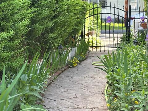Fence