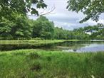 16.77 acres consisting of 2 seperate parcels with lake acess to Bishops Pond. 1 parcel is 14.84 acres which is designated as Streamland by DEC and has a fabulous wooded privacy buffer across the stream/wetland. Beatifull views. Land is located of both sides of pond and wetlands which are fabulous for watching wildlife. Build your dream home and create your own wildlife preserve. Great builders lot as the property is on a main road but still provides privacy, water access and views. Nicely located within minutes of Bethel Woods Performing Arts Center and Harvest Market, Resort Worls Casino, Villa Roma PGA Golf course, Stock Car Race&rsquo;s on weekend and waterfront dining in Kauneonga lake. Delaware River within 1/2 hour. Skiing in the winter and large public access lakes nearby for either kayaking or motorboating and great fishing. Come and build your dream country home.