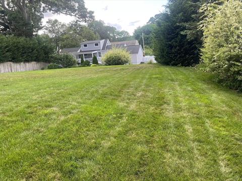 Yard