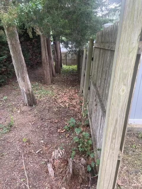 Yard