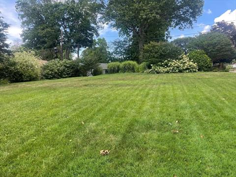 Yard