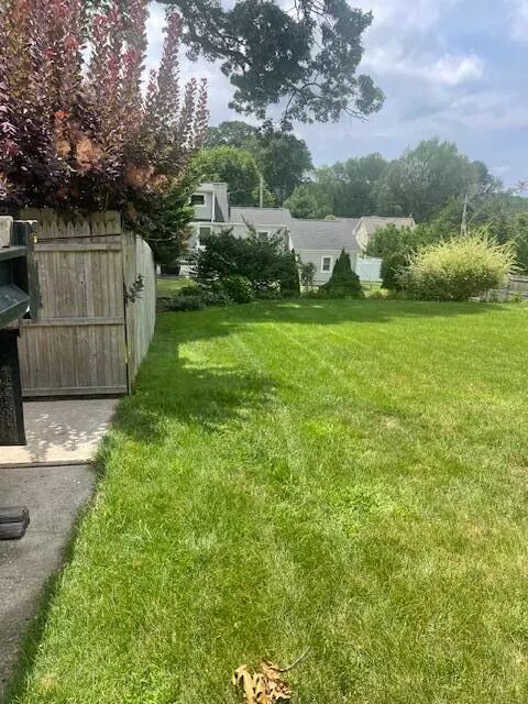 Yard