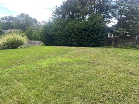 Yard