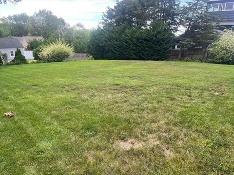 Yard