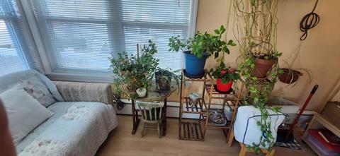 Hobby Room