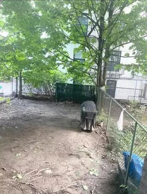 Yard