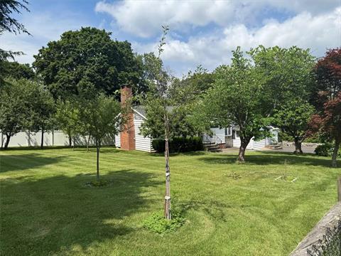 Yard