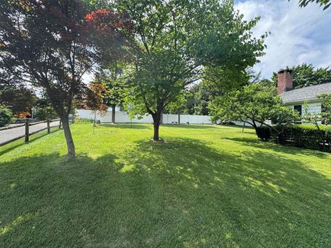 Yard