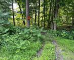 Build Your Dream Home in a Hidden Hudson Valley Gem. Discover the perfect blend of privacy, nature, and convenience on this stunning property located along the picturesque Fiddlerâ€™s Bridge Road. With over half a mile of road frontage and also near Schoolhouse Road, this expansive parcel offers a rare opportunity to create your own sanctuary just 10 minutes from the Taconic State Parkway and 20 minutes to Amtrak in Rhinecliff.Wander through mature woodlands, tranquil wetlands, and historic stone walls that whisper stories of the past. The land features existing trails for hiking and multiple potential building sitesâ€”some with beautiful viewsâ€”make it ideal for a single dream residence or a thoughtful subdivision.A partially started old driveway awaits new life, offering a head start on your vision. This is a wild and amazing retreat, offering peace, seclusion, and the magic of the Hudson Valleyâ€”yet you&rsquo;re still just a short drive to the charming village of Rhinebeck, known for its boutique shopping, fine dining, and cultural attractions.Whether you&rsquo;re dreaming of a country estate, a nature loverâ€™s paradise, or an investment with future potential, this land offers it all.