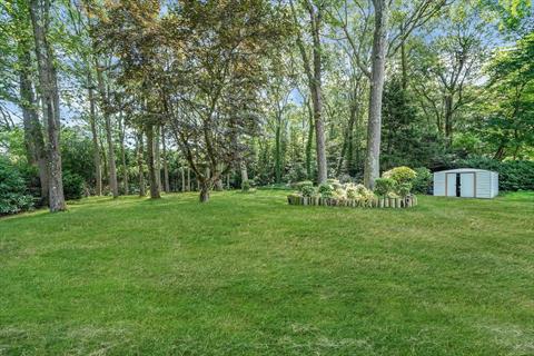 Yard