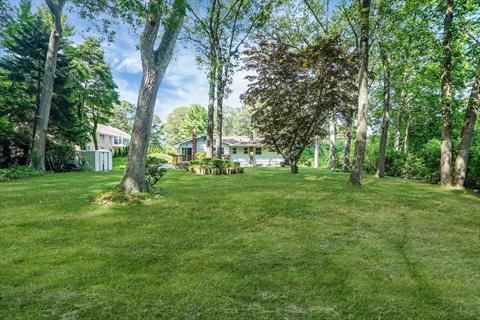 Yard
