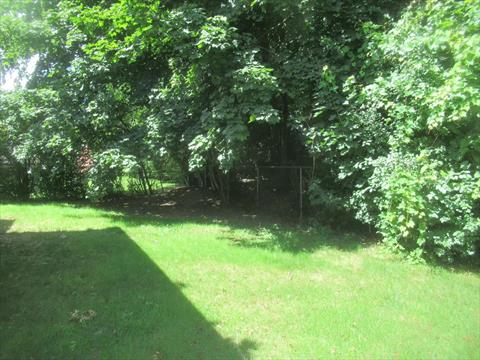 Yard