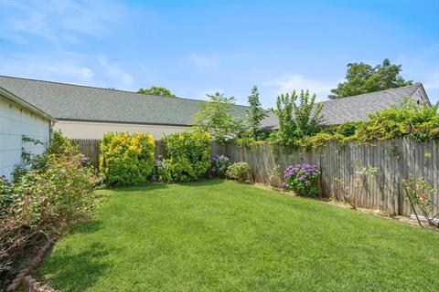 Yard