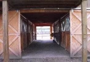 Stable