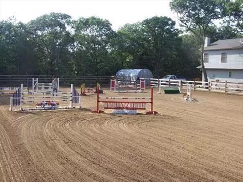 Stable