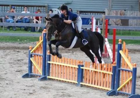 Stable