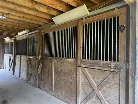 Stable
