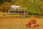 River Front! Fisherman&rsquo;s Dream!! Welcome to the West Branch of the Delaware River, Renovated Farmhouse in Deposit, NY. Just 2.5 hours to the GWB. Immerse yourself in this Charming total renovated turnkey Farmhouse with Modern comforts and Rustic Elegance. Low Taxes!! Zillow approximation is wrong taxes are under $4000. Step into country living at its finest with this beautifully renovated farmhouse that blends timeless character with modern updates. Set on 14.3 acres. Almost 4 acres on the river side with almost 200 feet of river frontage and 11 acres on the house side. Large Pond on property next to the large Barn, 3/4 bedrooms have been freshly painted and new hardwood flooring, Parlor can be used as another bedroom with pocket doors, Large Primary suite with office or nursery, large walk up attic, large living room, Dining room, new bath, with stand alone large porcelain tub, kitchen updated and painted, custom made butcher block countertops with farm sink with new faucet. electrical work, plumbing up grades, new windows, 3 mini splits with a/c and heat, Metal roof on house and barns Cabin too, above ground pool will stay. House has been power washed, 5 barns three larger two stories, and two smaller with wood burning stove and electric and land line phone service. Garden beds, garden shed, swing under the maples trees that produce maple syrup, The river is well known for its scenic beauty and is particularly popular for fly fishing, offerings opportunities perfect for Air BNB, kayaking, canoeing, and so much more. No detail has been over looked, Enjoy peaceful mornings on the wrap around porch and cozy evenings by the outdoor fire pit. Whether you are looking for an Airbnb, weekend escape, family home, or hobby farm, this turnkey property offers the bet of both worlds-classic farmhouse style with the comfort and efficiency of modern upgrades. Make an appt today.