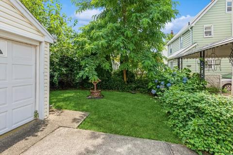 Yard