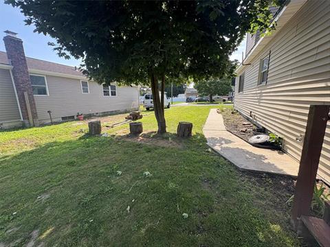 Yard