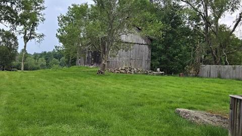 Yard