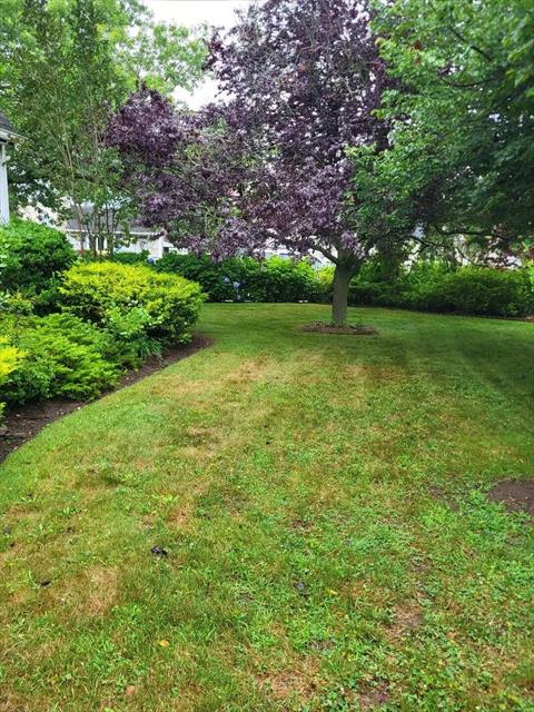 Yard