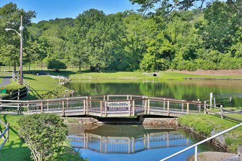 Pond