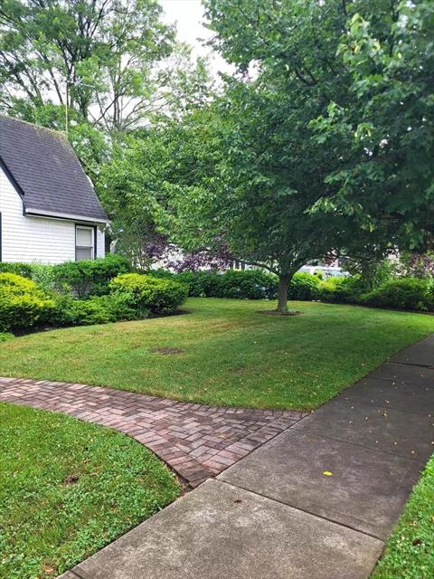 Yard