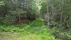 Fully Engineered and Ready to Build! Perched on Highlands in Orange County NY close to Route 17 for easy access to NYC, or NYC Train less than 10 mins away is this private wooded lot. Build your dream house here as the engineering perc etc is complete. near Renaissance City Port Jervis complete with upscale shops but also just 20 mins to Bethel Woods, Casino etc.