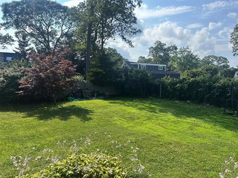 Yard