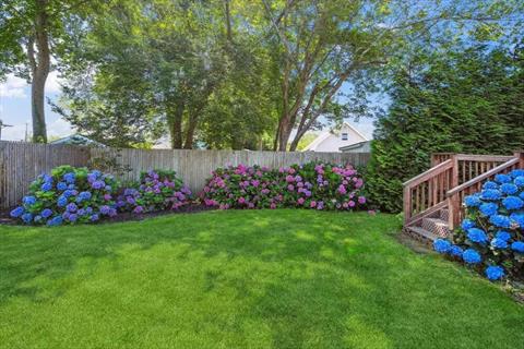 Yard