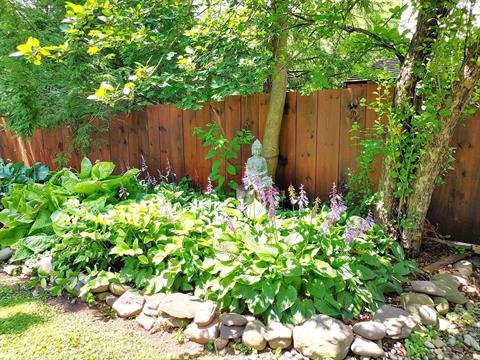 Yard