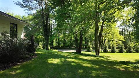 Yard