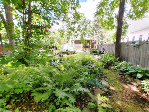 Yard