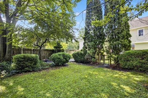 Yard