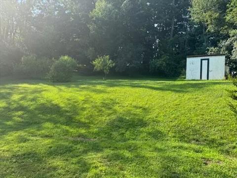 Yard