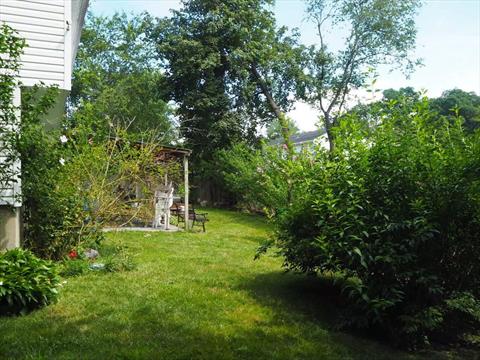 Yard