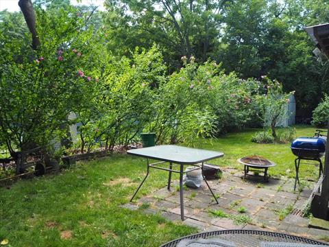 Yard