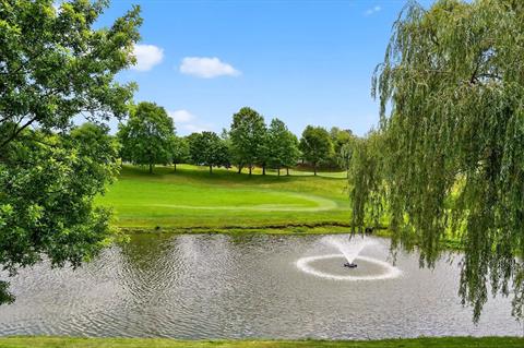 Pond