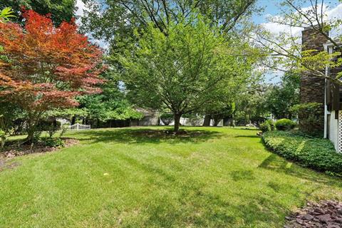 Yard