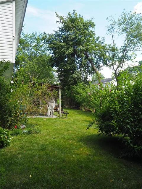 Yard