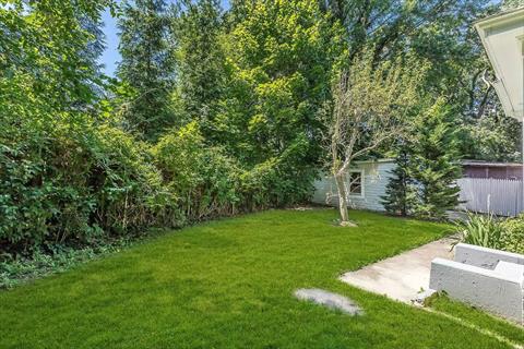 Yard