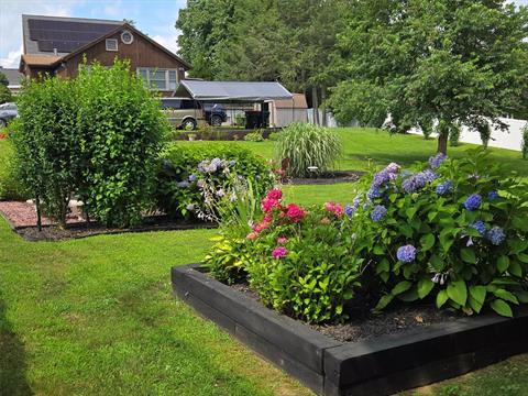 Yard